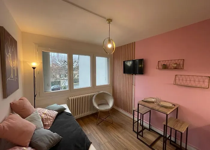 Rose, Studio Proche Centre Ville