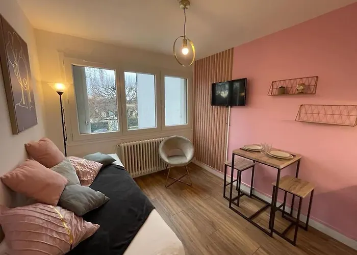 Rose, Studio Proche Centre Ville